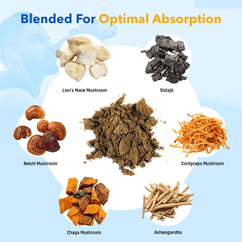 6 in 1 Shilajit Ashwagandha Mushroom Capsules